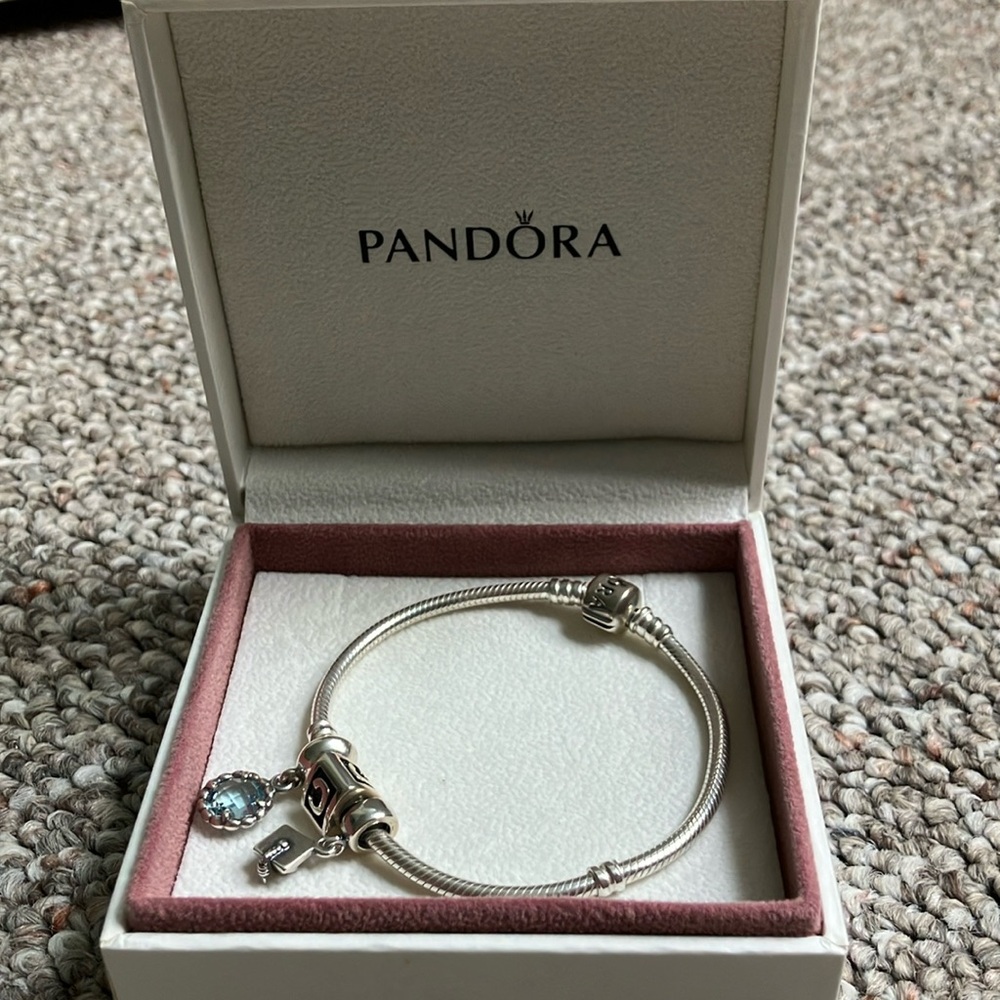 Silver Pandora Bracelet - Picture 5 of 5